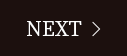 NEXT >