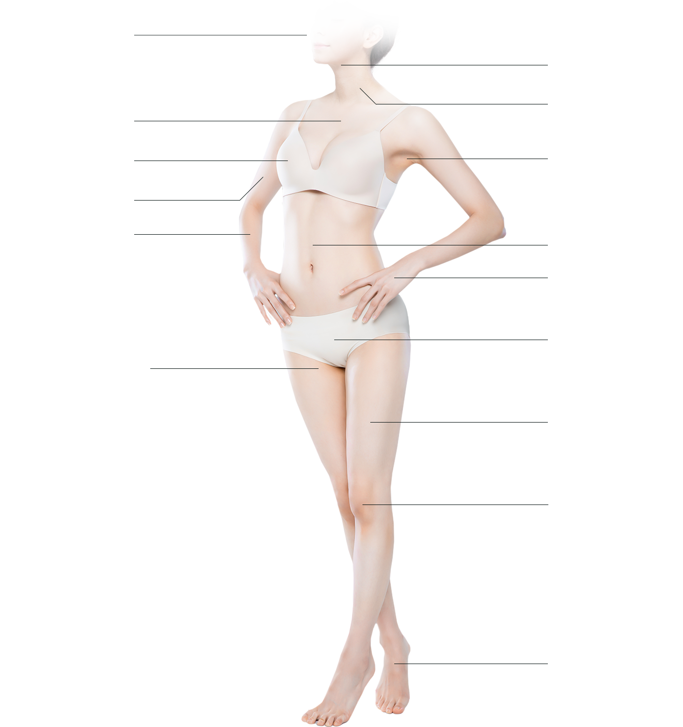모델 이미지